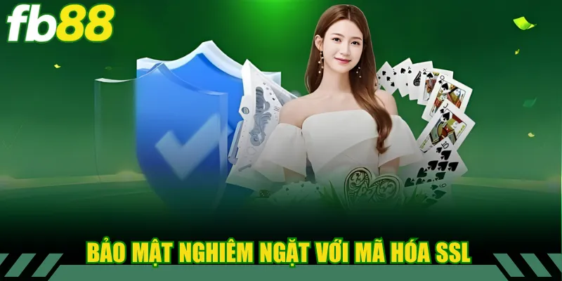 Bảo mật nghiêm ngặt với mã hóa SSL