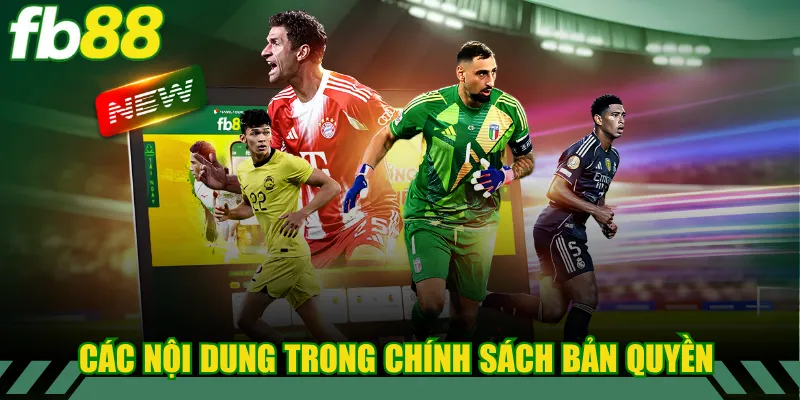 Các nội dung trong chính sách bản quyền