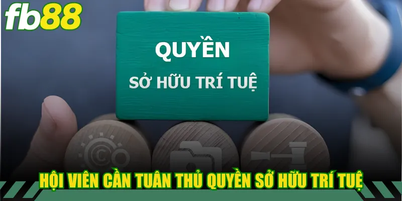 Hội viên cần tuân thủ quyền sở hữu trí tuệ